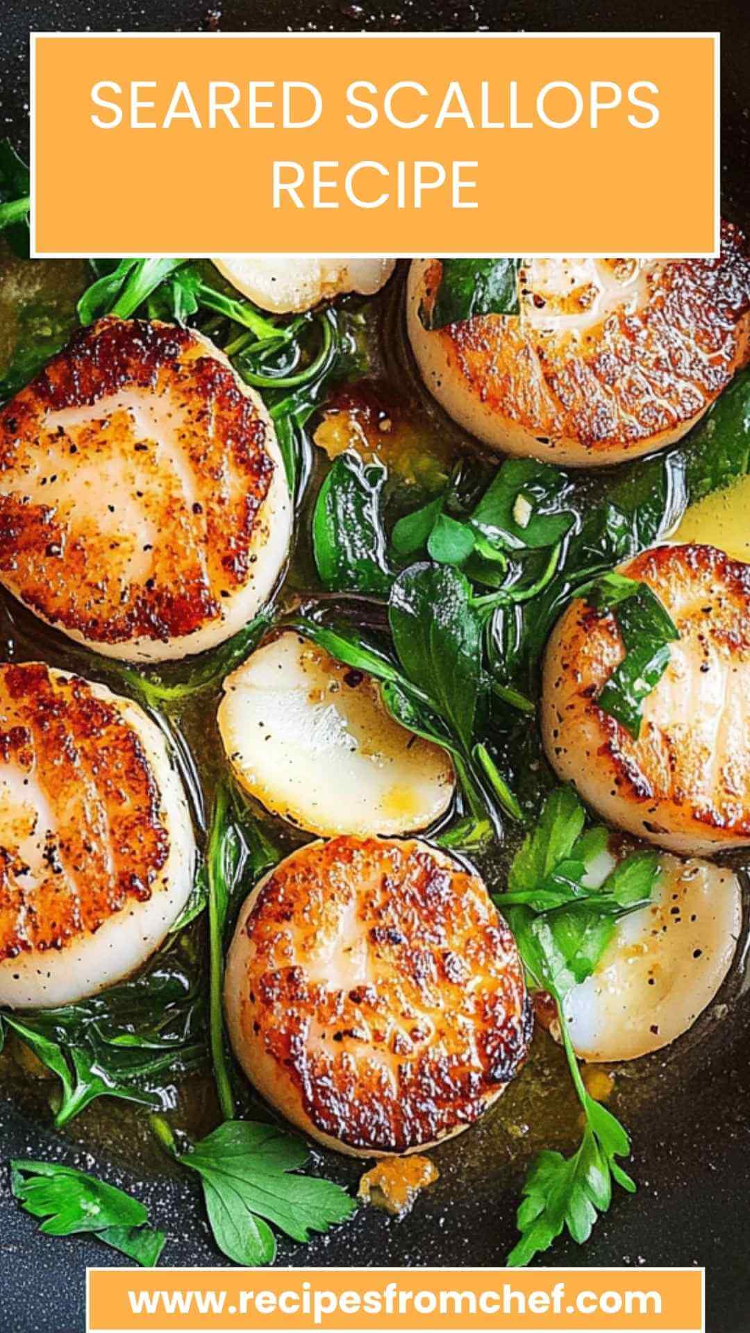 Seared Scallops Recipe