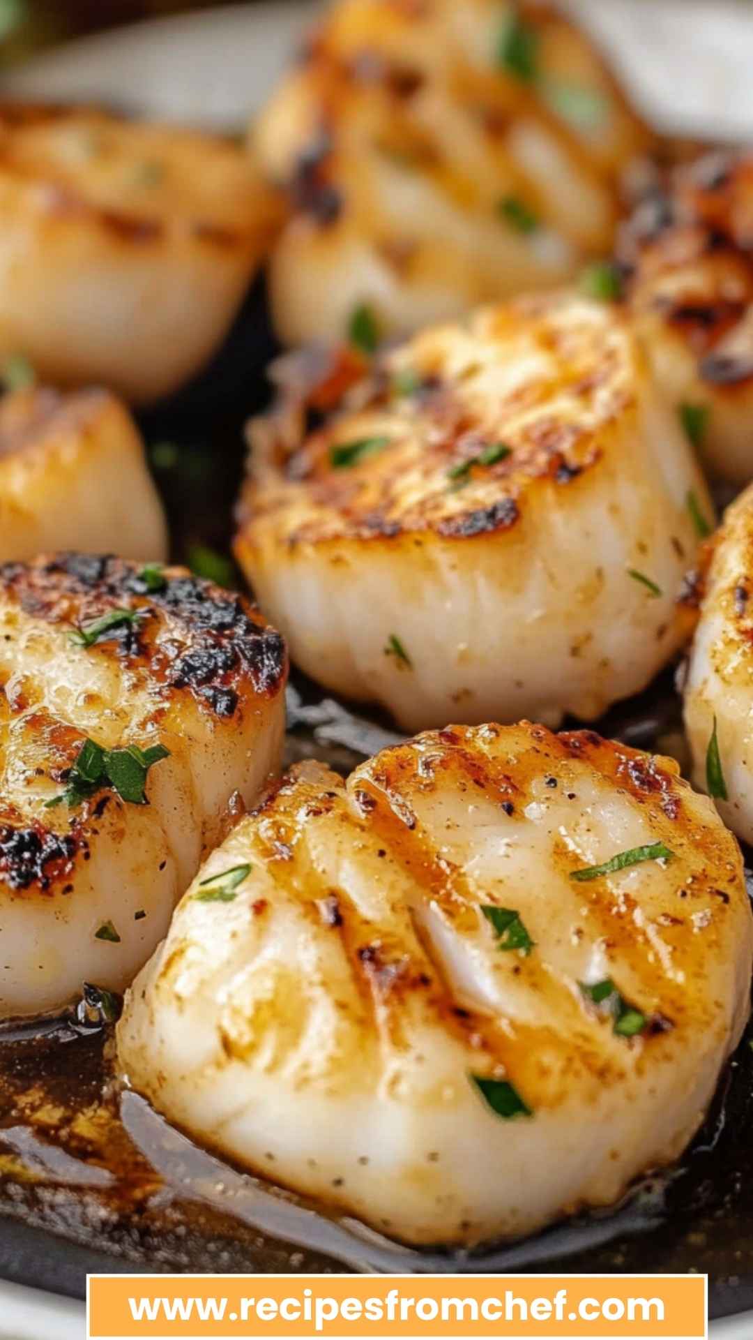 Best BBQ Scallops Recipe