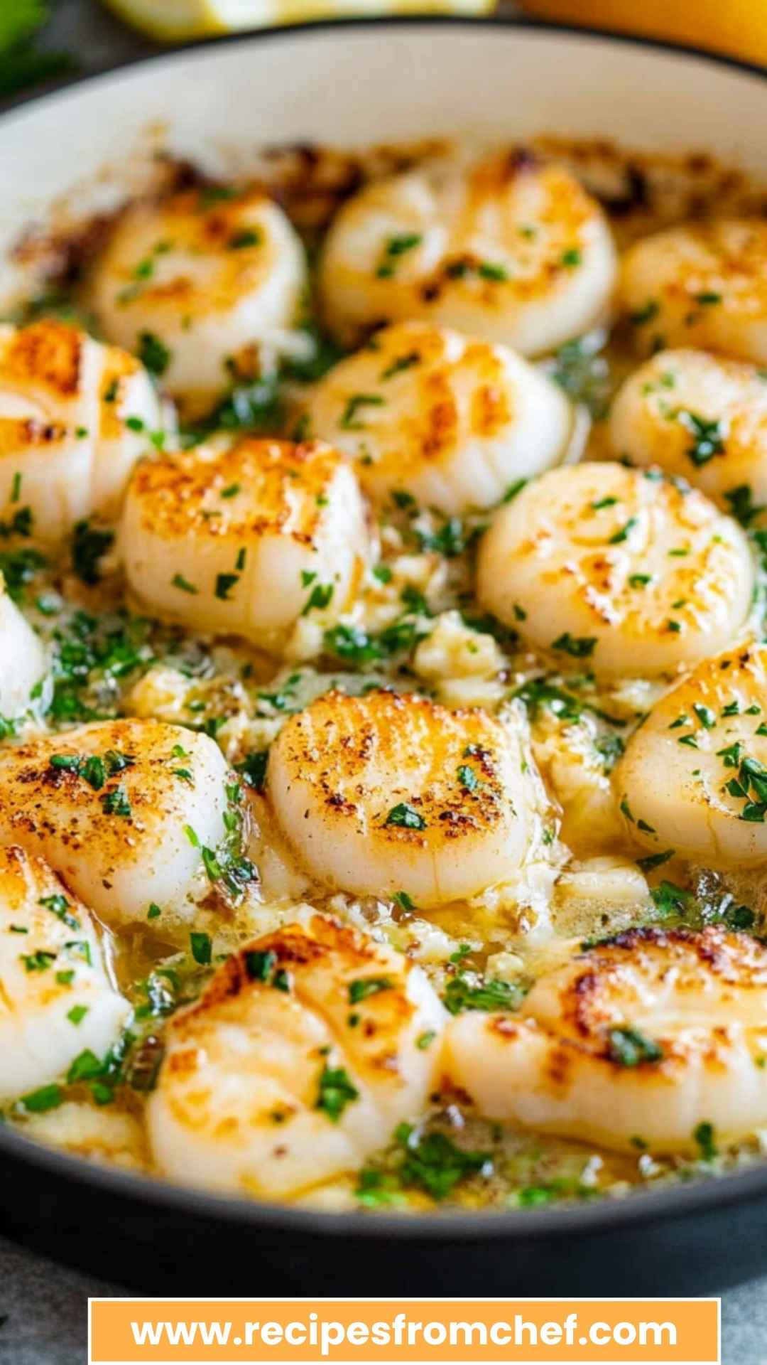 Best Garlic Butter Scallops Recipe