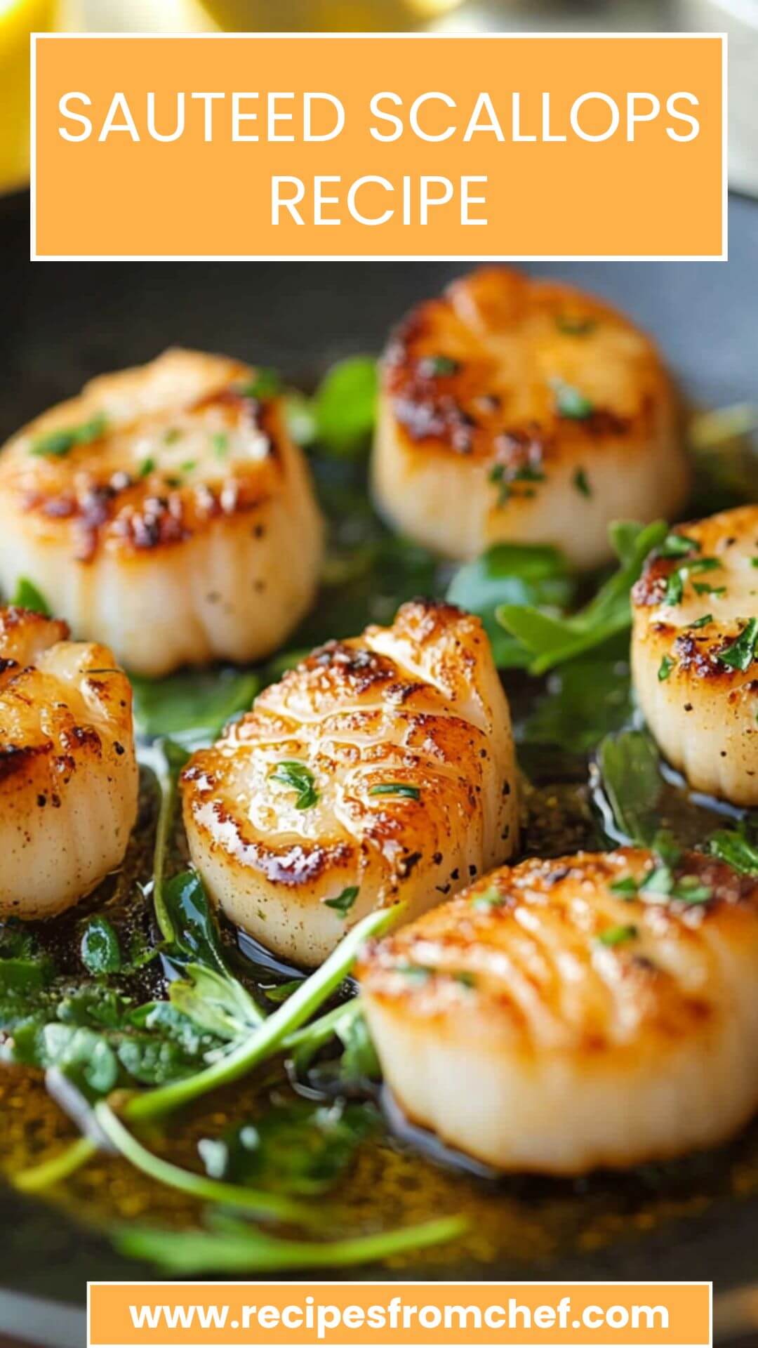 Sauteed Scallops Recipe