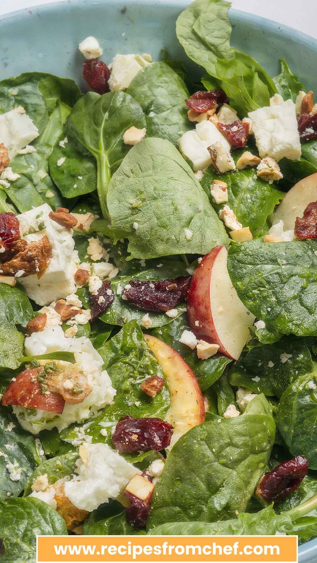 Best Apple Cranberry Pecan Spinach Salad Maple Cider Vinaigrette
